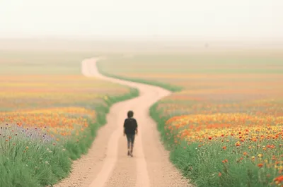 Illustration swerves - Image 1