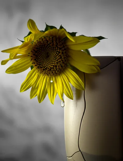 Illustration pathetic - Image 1