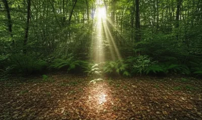 Illustration penetrate