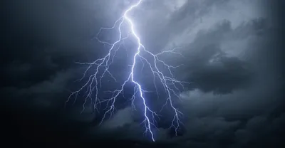 Illustration brush - Image 1