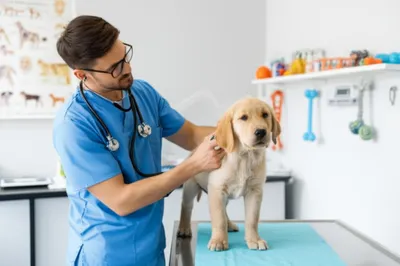 Illustration doctors - Image 1