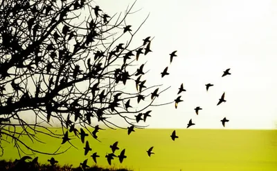 Illustration adjourn - Image 1