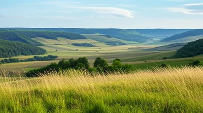 Illustration landscape - Image 1