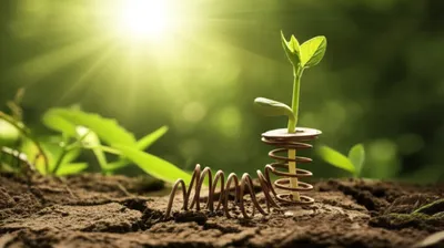 Illustration springs - Image 1