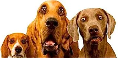 Illustration flabbergasted - Image 2