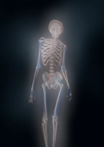 Illustration skeletons - Image 1