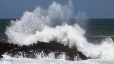 Illustration flashed - Image 1