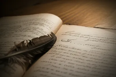 Illustration autograph - Image 1