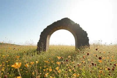 Illustration relic - Image 1