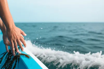 Illustration rake - Image 1