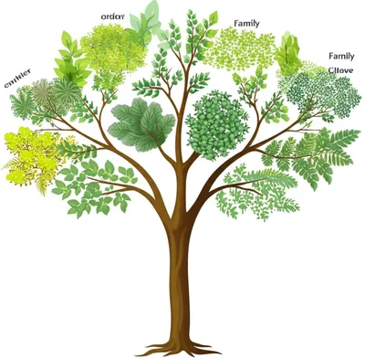 Illustration sections - Image 1