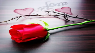 Illustration connoted - Image 2