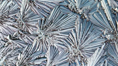 Illustration grains - Image 1