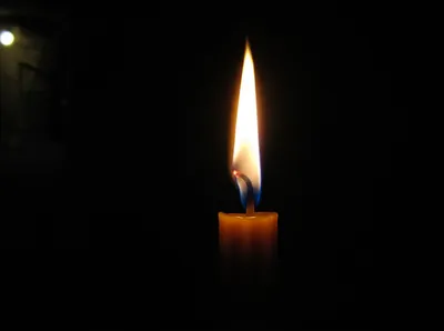 Illustration show - Image 1