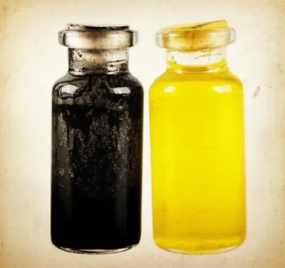 Illustration bile - Image 1