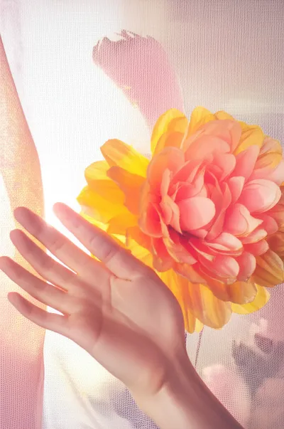 Illustration unveiling - Image 1