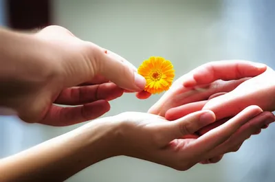 Illustration consenting - Image 1