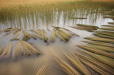 Illustration ret - Image 1