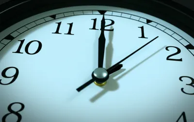 Illustration short - Image 1