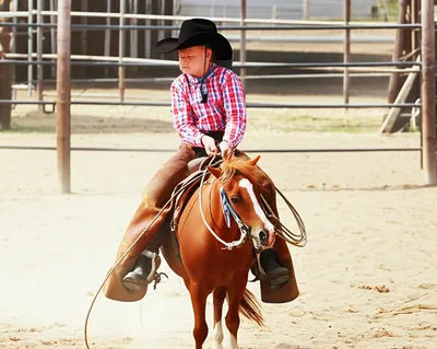 Illustration dude - Image 1