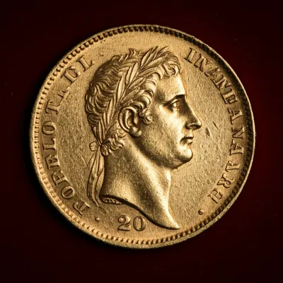 Illustration napoleons - Image 1