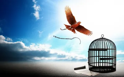 Illustration unbind - Image 1