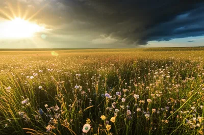 Illustration allay - Image 1