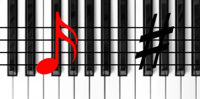 Illustration sharps - Image 1