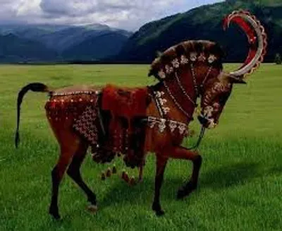 Illustration trappings - Image 3