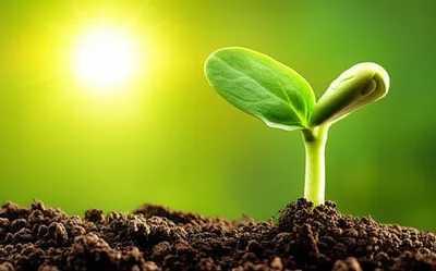 Illustration up - Image 1