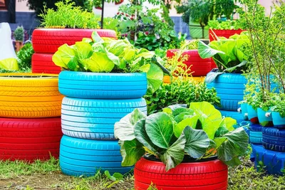 Illustration reuses - Image 1