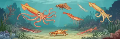 Illustration decapod - Image 1