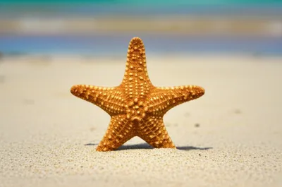 Illustration splayed - Image 1