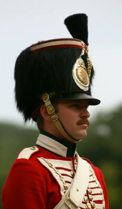 Illustration shakos - Image 1