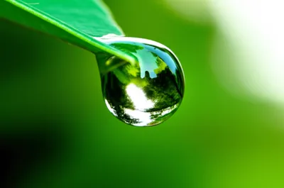 Illustration taste - Image 1