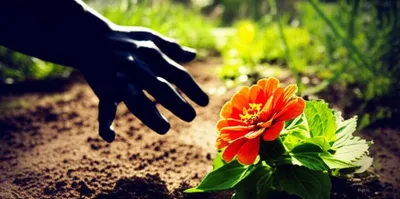 Illustration steals - Image 1