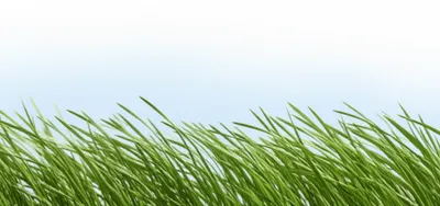 Hình ảnh minh họa south - Ảnh 1