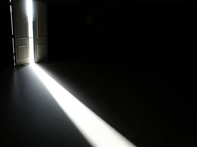 Illustration shone - Image 1