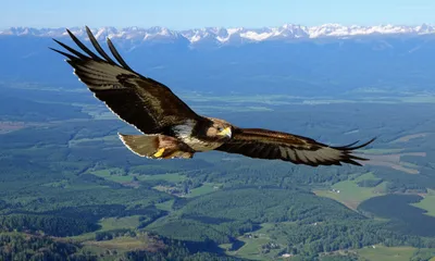 Illustration careers - Image 1