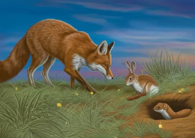 Illustration vermin - Image 1