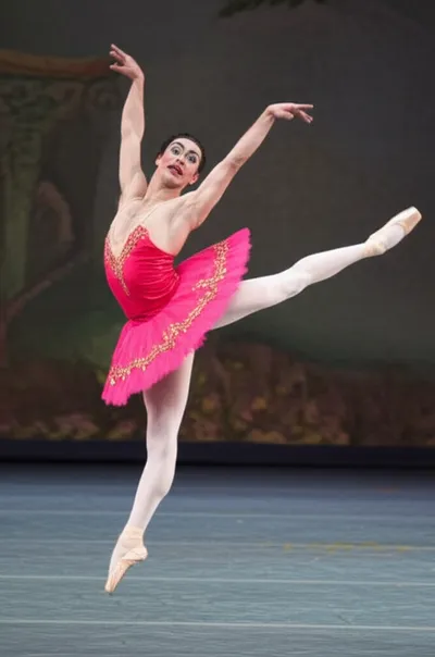 Illustration ballerinas - Image 1