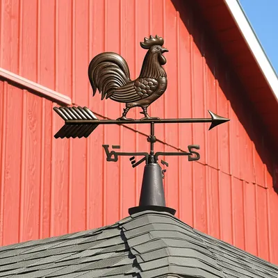 Illustration cock - Image 1