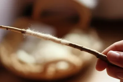 Illustration spindle - Image 1