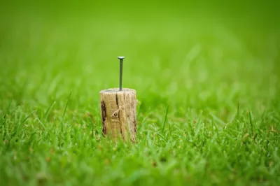 Illustration hub - Image 1