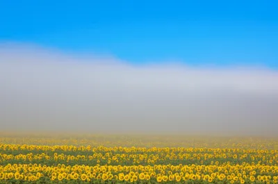 Illustration clouded - Image 1