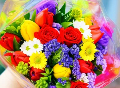 Illustration cellophane