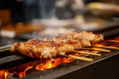 Illustration teriyaki