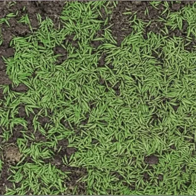 Illustration mat - Image 1