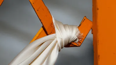 Illustration snagged - Image 1