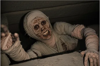 Illustration mummies - Image 1